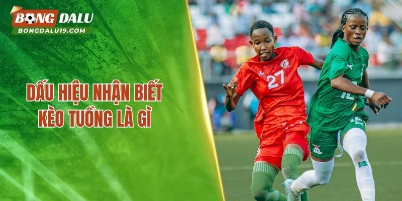 Dấu hiệu nhận biết kèo tuồng là gì