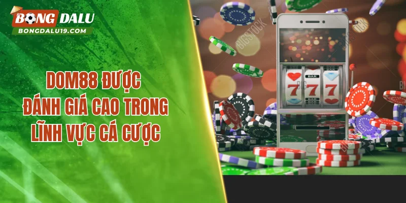 DOM88 được đánh giá cao trong lĩnh vực cá cược