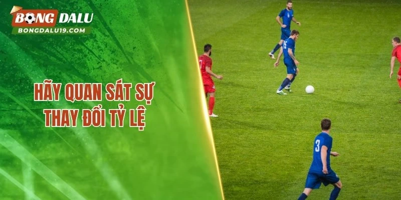 Hãy quan sát sự thay đổi tỷ lệ