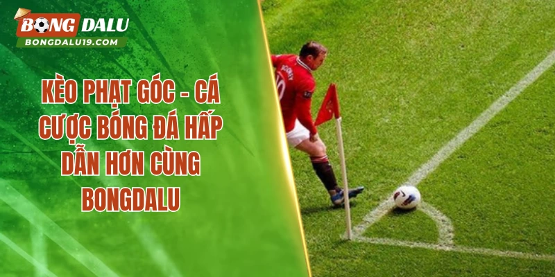 Kèo Phạt Góc – Cá Cược Bóng Đá Hấp Dẫn Hơn Cùng Bongdalu