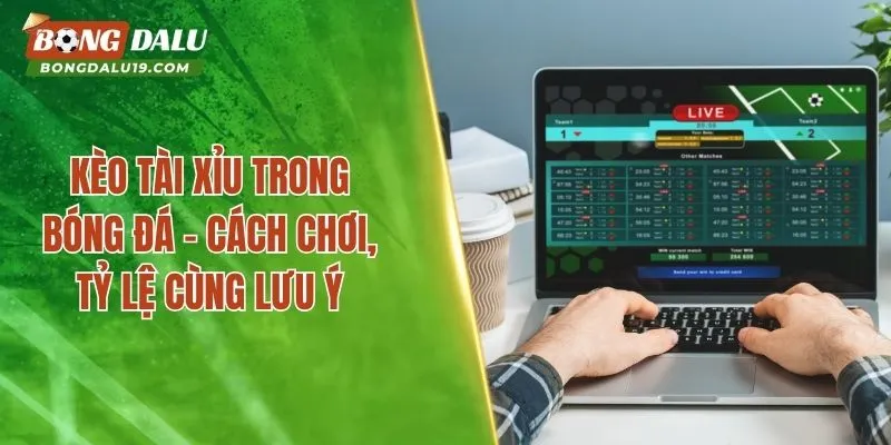 Kèo Tài Xỉu Trong Bóng Đá – Cách Chơi, Tỷ Lệ Cùng Lưu Ý