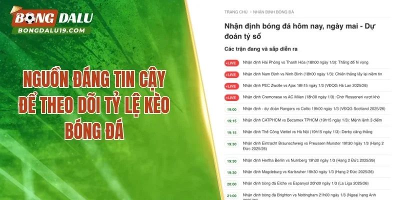 nguồn đáng tin cậy để theo dõi tỷ lệ kèo bóng đá