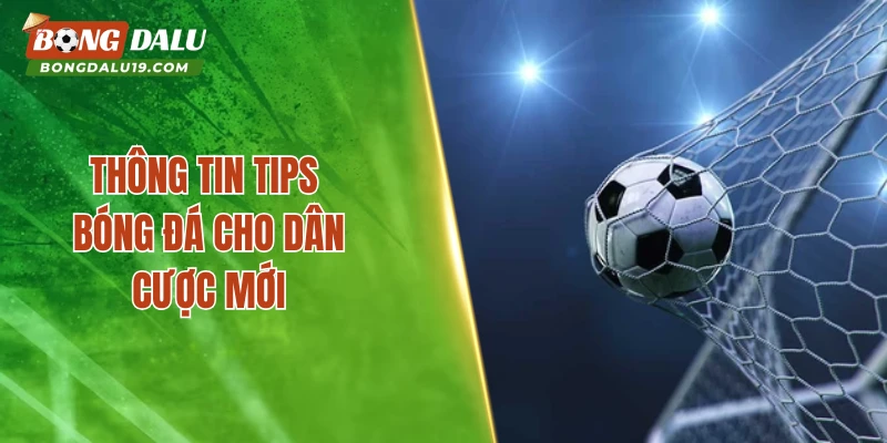 Thông tin tips bóng đá cho dân cược mới