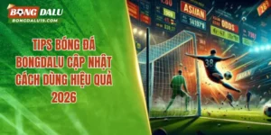 Tips Bóng Đá – Bongdalu Cập Nhật Cách Dùng Hiệu Quả 2026