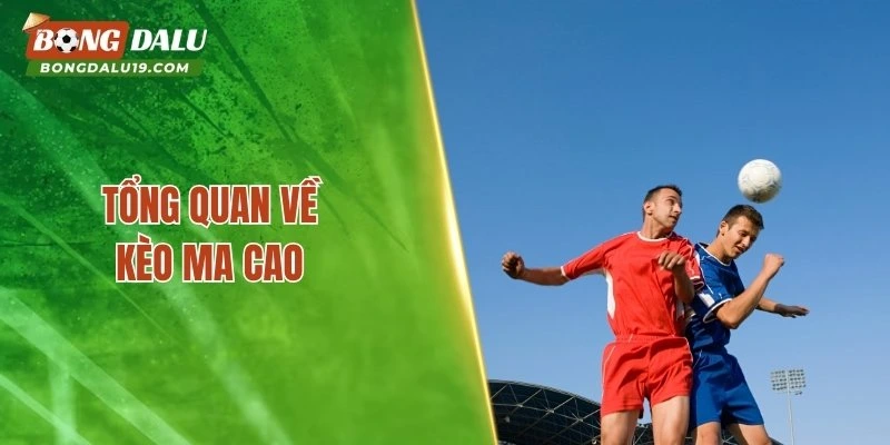 Tổng quan về kèo ma cao