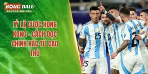 Tỷ Lệ Cược Hong Kong – Cách Đọc Chính Xác Từ Cao Thủ